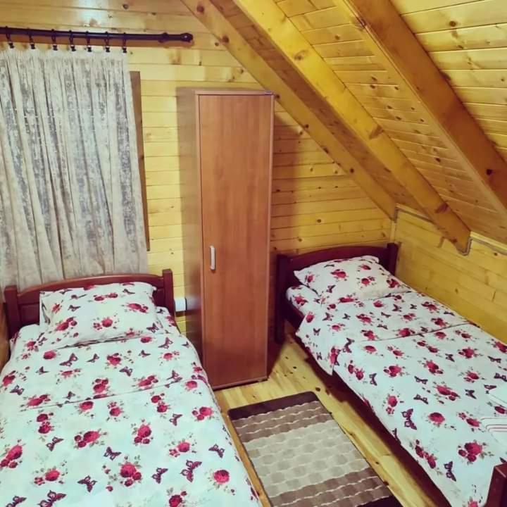 فيلا Mountain House Catherine جابلياك المظهر الخارجي الصورة